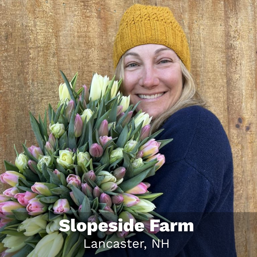 Slopeside Farm